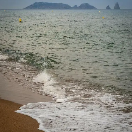 Escapada A - Argonavis L'Estartit