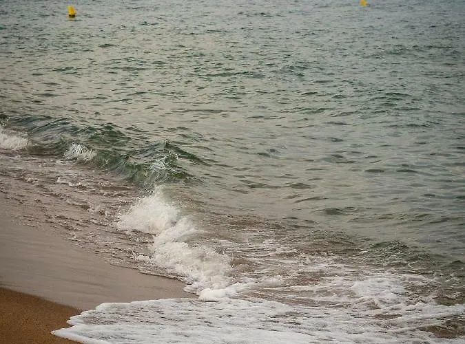 Escapada A - Argonavis L'Estartit